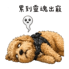 Nuts 上班日記