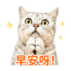 周小寶日常1126