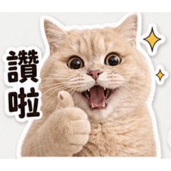 福氣貓貓咪