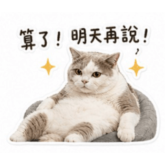 關賓賓part2