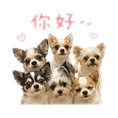 妍的寶貝