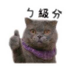 Zhi Maaaa