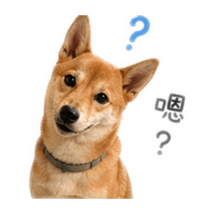 我是momo哦！