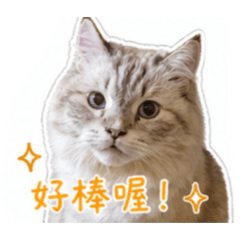 壯壯可愛表情貼圖
