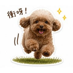 迪迪子