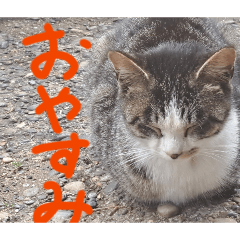 toku_20260430221306