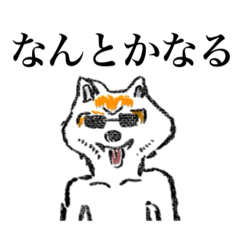 fukafuka_20260430191311