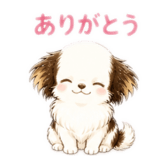 Anko_20260430221841