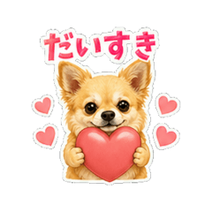 hana stamp part7