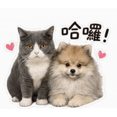 妹妹與錢錢姐弟倆