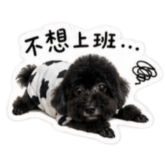 布想上班
