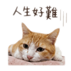 阿宅日常生活