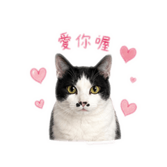 步步的可愛表情貼