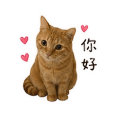 釣蝦場小黃