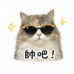 波咪是天使貓貓