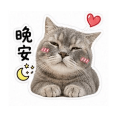 Chien_20260427042010
