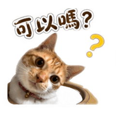 歐吉米
