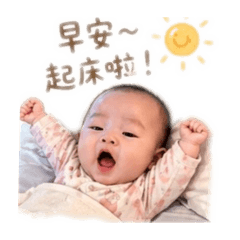 巧克力l
