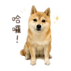 「H.K.M」我有話要說！