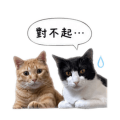 油花222