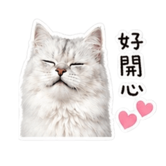 張宸啾