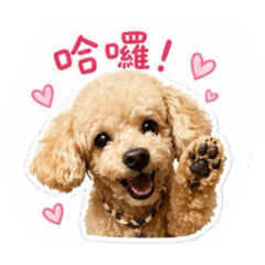 哈囉 我是嘟嘟