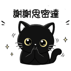 漂亮的黑貓
