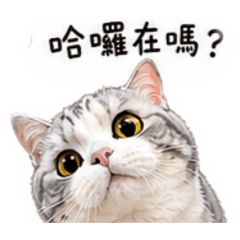 早安喵布萊恩問候語2