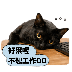 黑貓吉吉的日常對話組