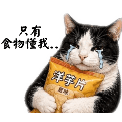 吃貨咪寶
