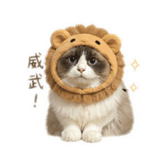 小咪嚕醬醬