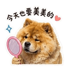 阿迪胖寶寶日常