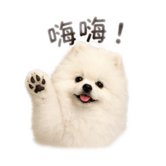 我是布布 (´▽｀)