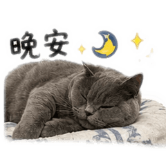 三歲陳小歐