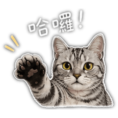 狄狄咕咕