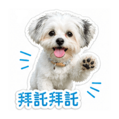 萌萌麻糬狗狗