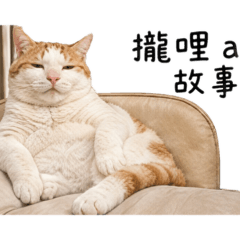 橘白貓歸剛