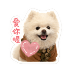 我是博美-魯蛋