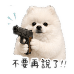 我是布布(´▽｀)2
