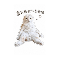大橘為重—懶洋洋