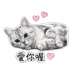 糖葫嚕本嚕 第一彈