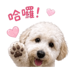 娜娜の日常（第一篇）
