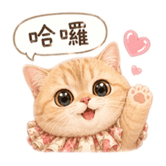 這麼可愛～我莓了❤️