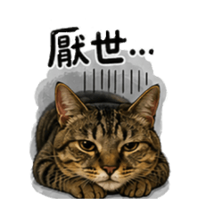 尼布 小米