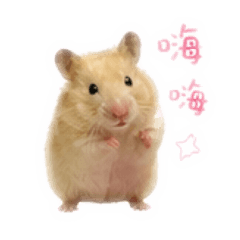 哈囉哈囉地瓜泥