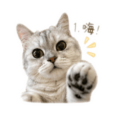 咪吉愛你