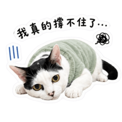 日常(點)
