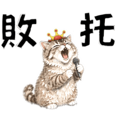 貓米茶