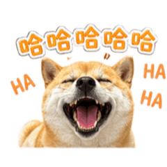 許妞（常用語）