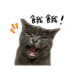哇係咪嚕